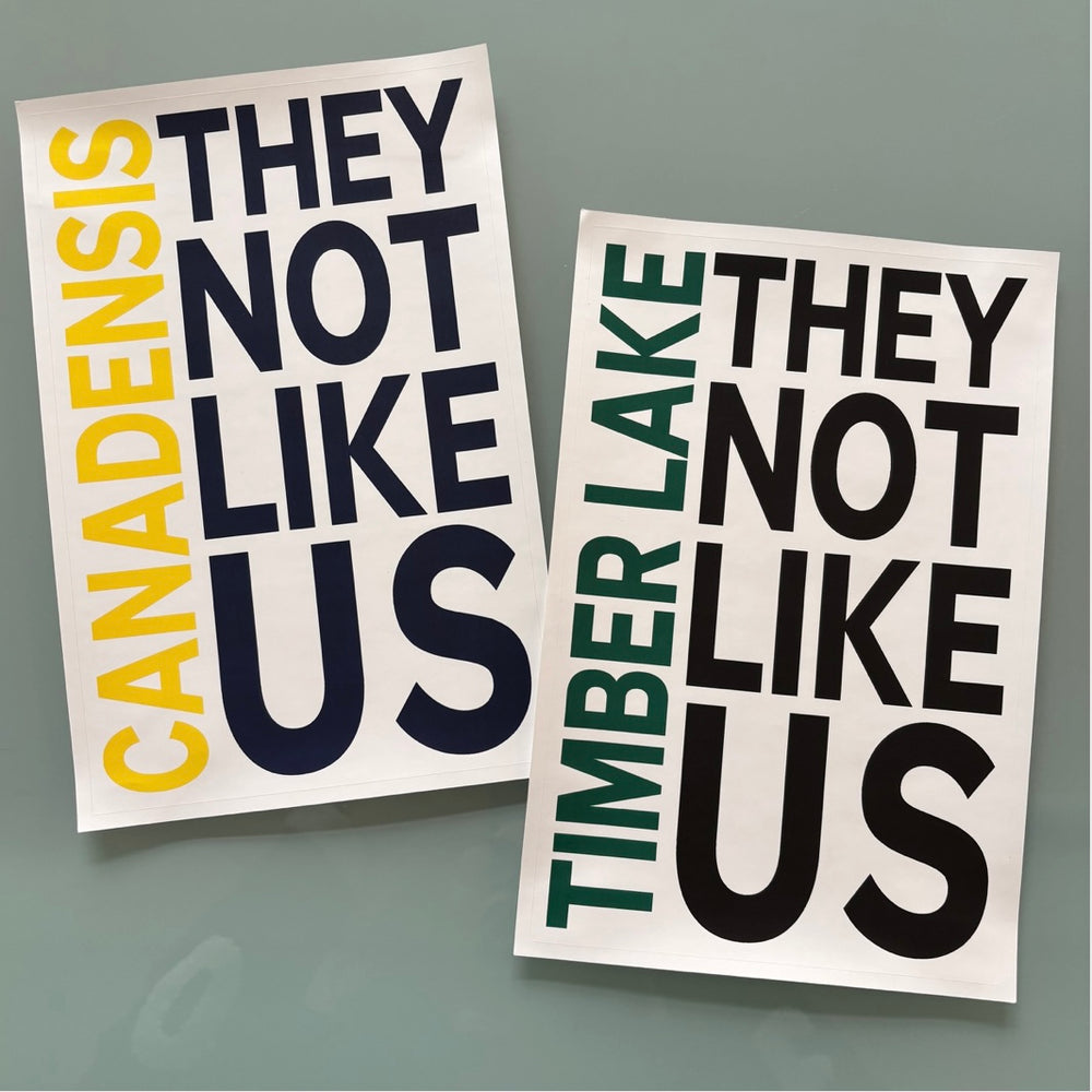 They Not Like Us - Large Removable Vinyl Sticker