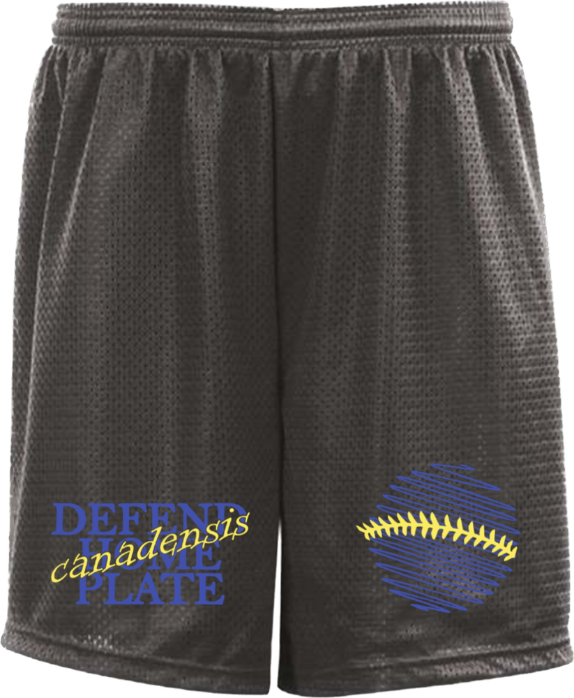 Defend Home Field Mesh Shorts - Baseball